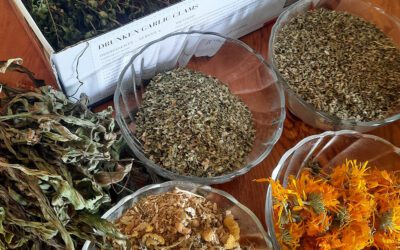 Botanical Bliss: Unveiling the Herbal Wonders in My Skincare Creations.